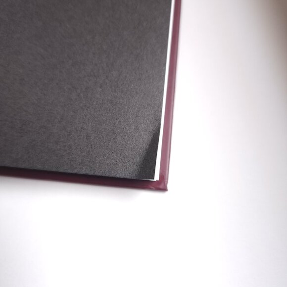 Goon with the Spoon Cookbook Snoop Dogg Earl Stevens Soul BBQ Hip-Hop West - Picture 11 of 12